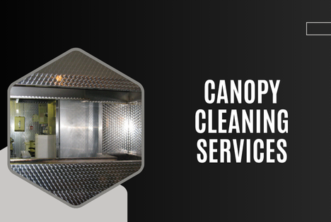 North Carolina Rent-to-Own Homes: Myth vs. Reality